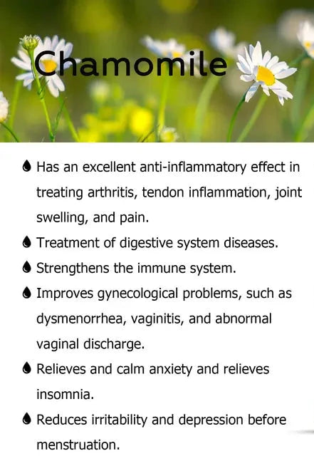 Chamomile therapeutic grade 100% pure essential oil info on common known uses